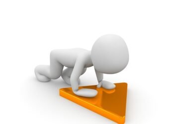 how the cardiovascular system functions