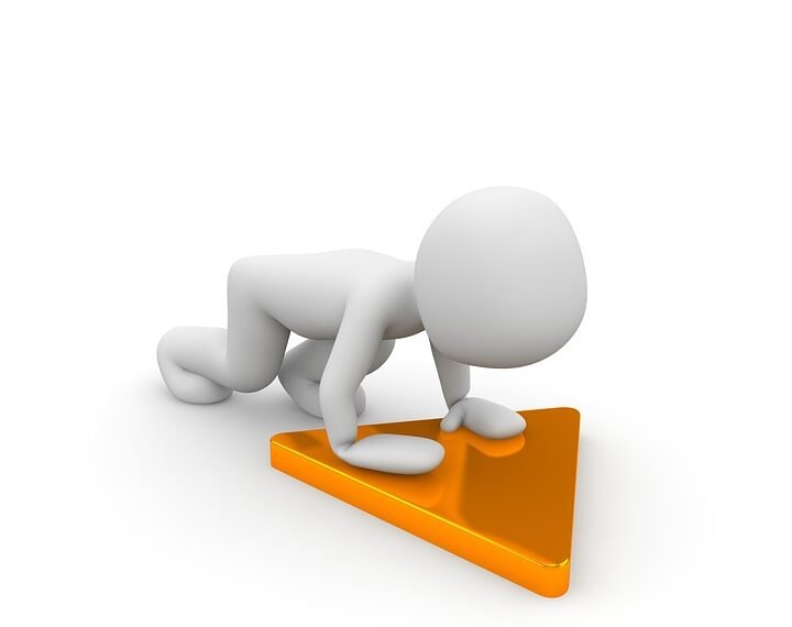 how the cardiovascular system functions