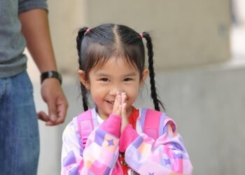 how the cardiovascular system functions