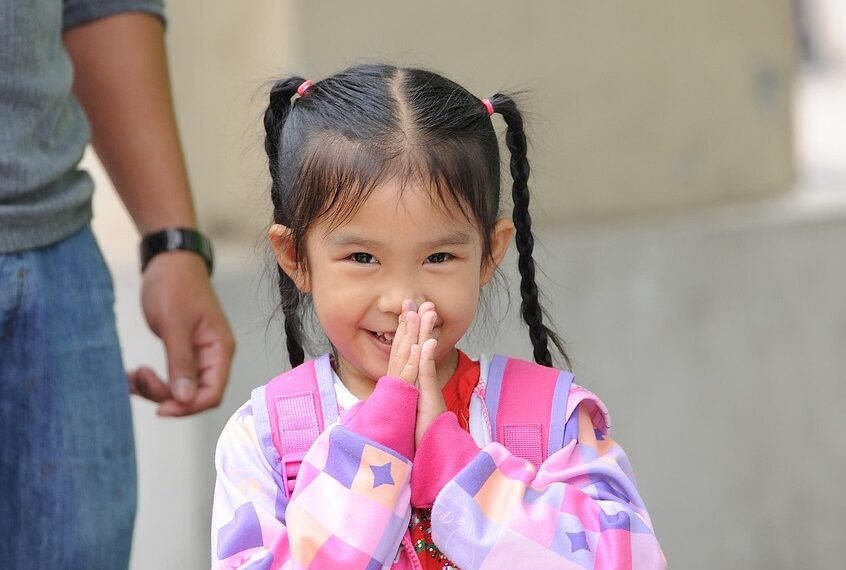 how the cardiovascular system functions