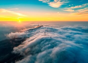 basics of body metabolism and energy use