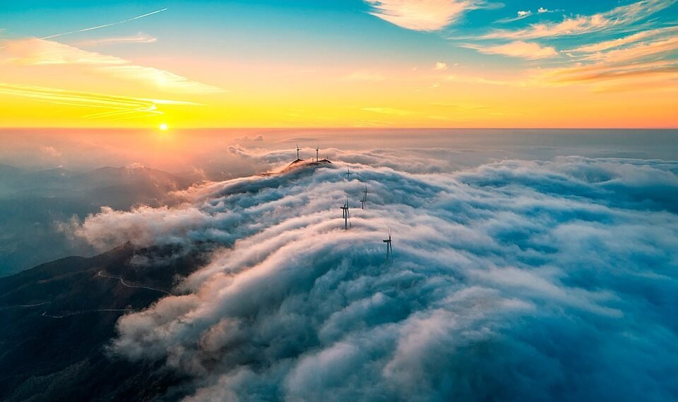 basics of body metabolism and energy use