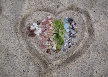 introduction to auteur theory in cinema