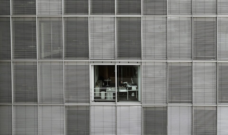 how the human respiratory system works