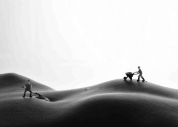 how the human respiratory system works