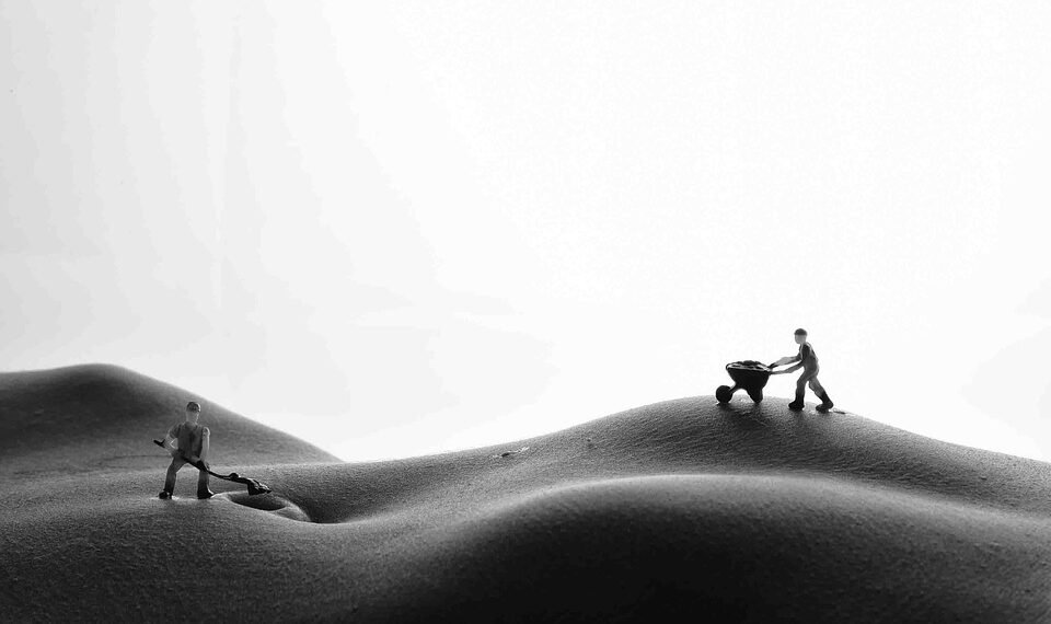 how the human respiratory system works