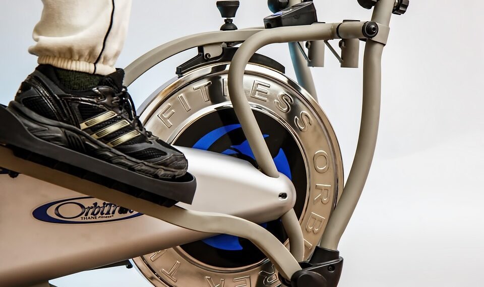 how the cardiovascular system functions