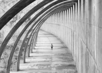 structure and function of human digestive system