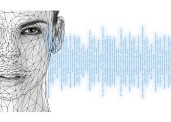 how the human brain processes information