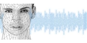 how the human brain processes information