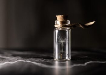 importance of film preservation and restoration