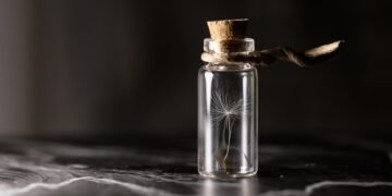 importance of film preservation and restoration