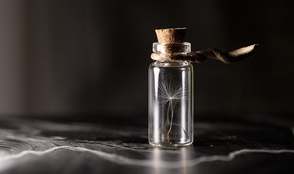 importance of film preservation and restoration