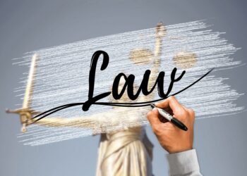 how the cardiovascular system functions