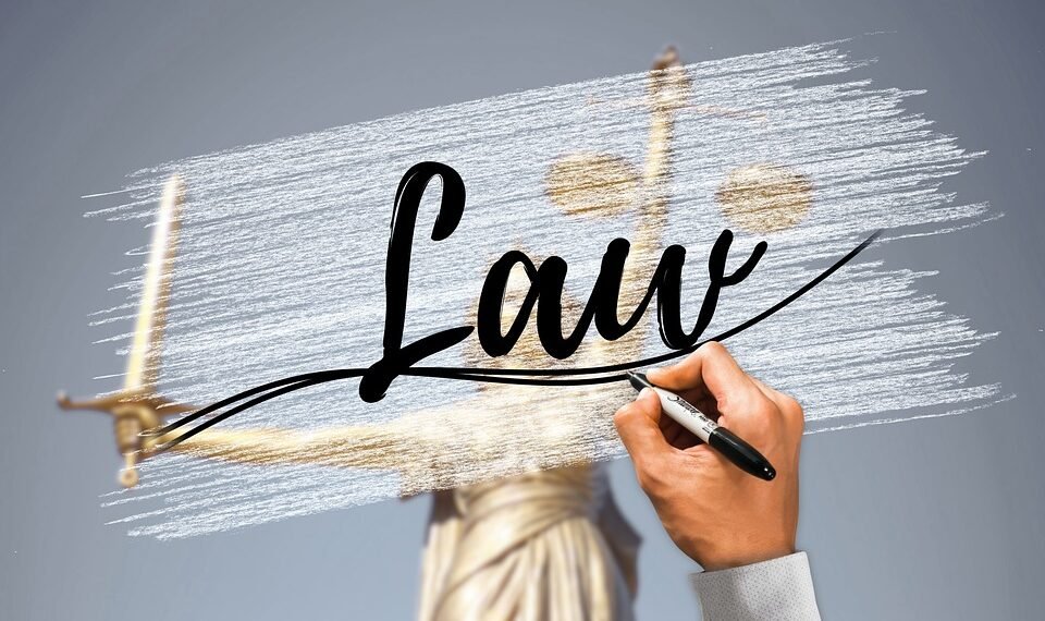 how the cardiovascular system functions