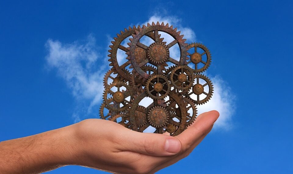 how muscles and bones work together