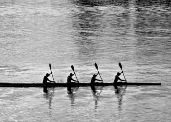 importance of teamwork in team sports