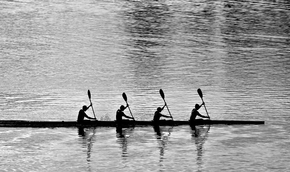 importance of teamwork in team sports