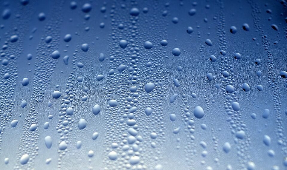 importance of hydration for overall health