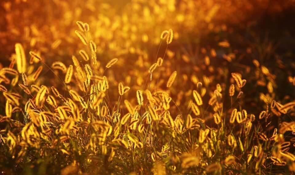 the golden age of hollywood explained