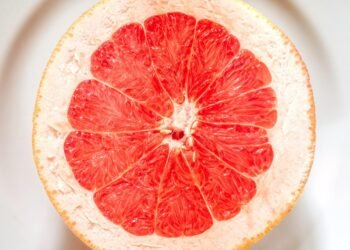 how horror films evolved across decades