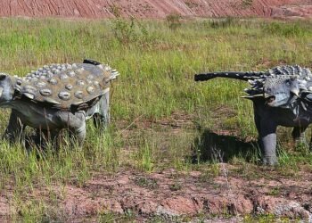 history of indian cinema evolution