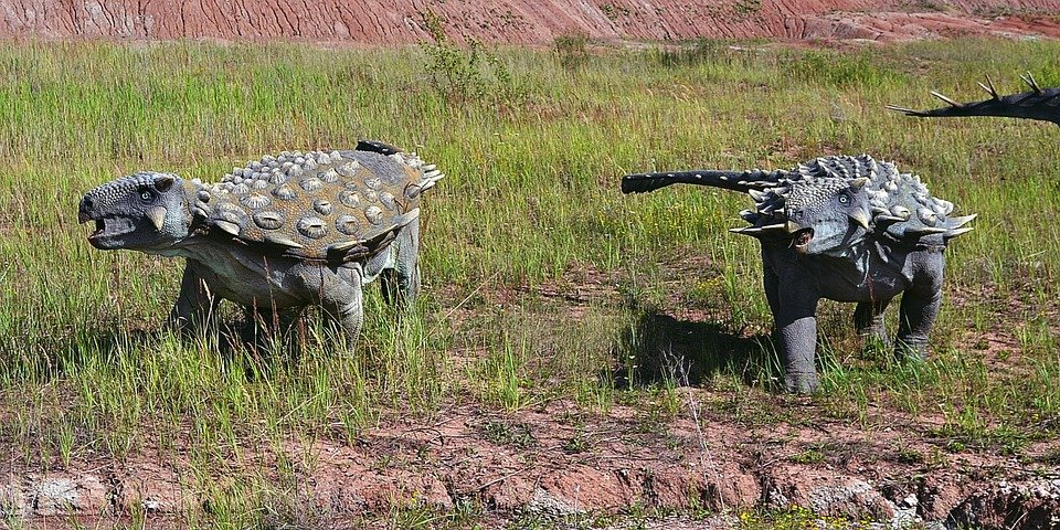 history of indian cinema evolution