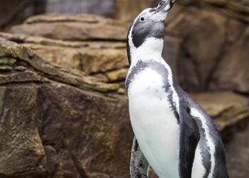 evolution of movie marketing and trailers