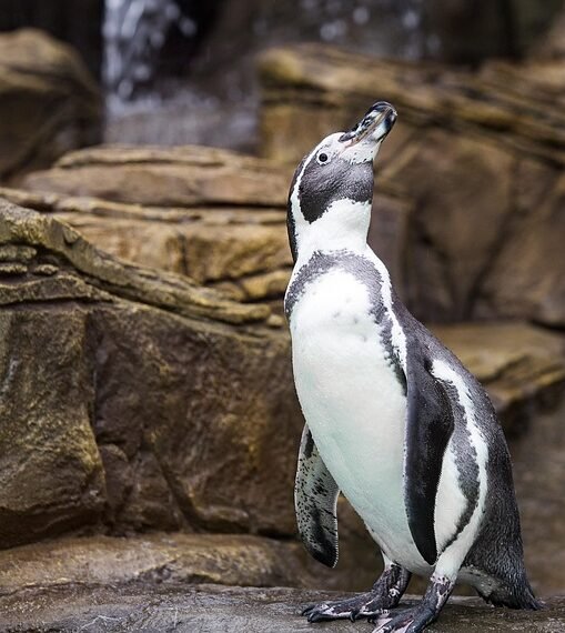 evolution of movie marketing and trailers