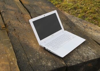 rise of independent films worldwide