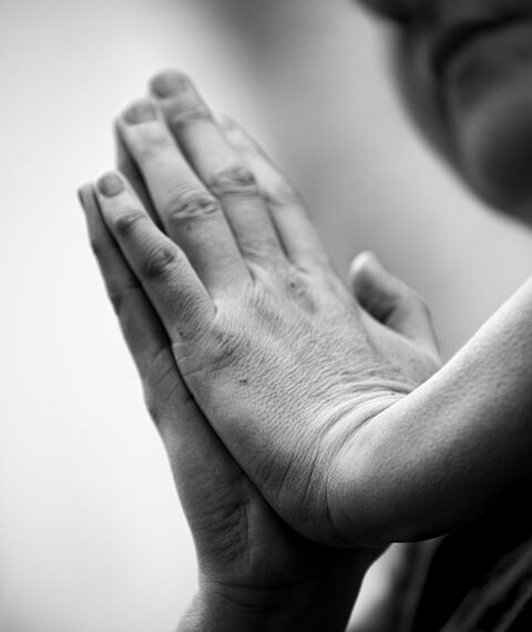 how hormones regulate body functions