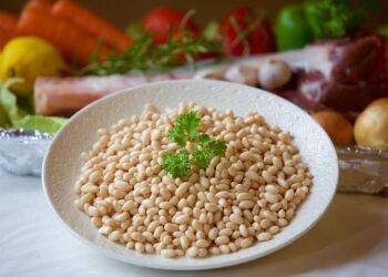 basics of human kidney function