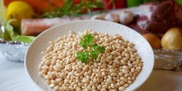 basics of human kidney function
