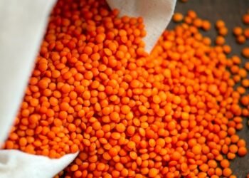 healthy eating habits and nutrition basics