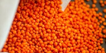 healthy eating habits and nutrition basics