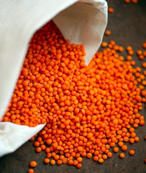 healthy eating habits and nutrition basics