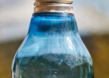 basics of body metabolism and energy use