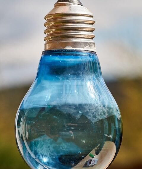 basics of body metabolism and energy use