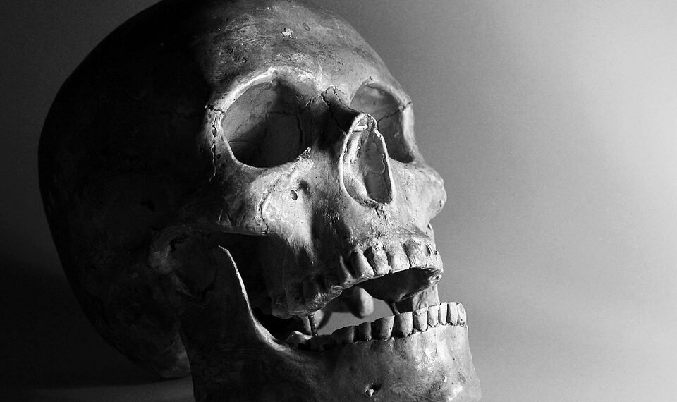 how muscles and bones work together