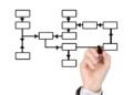 how the human brain processes information