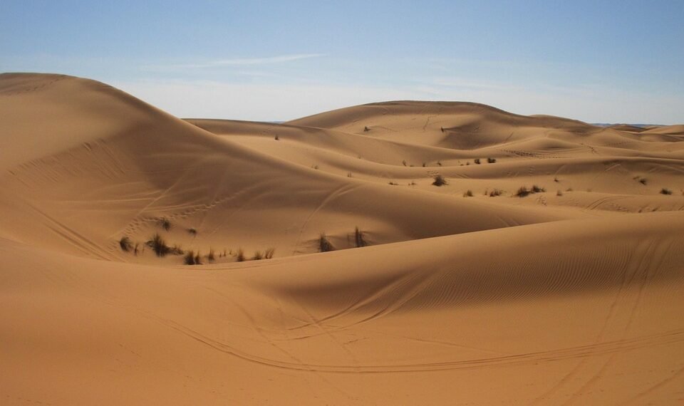 cinematic impact of true story adaptations