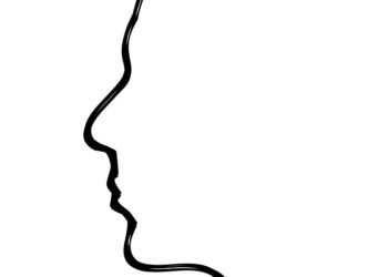 how the human brain processes information