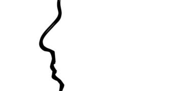 how the human brain processes information