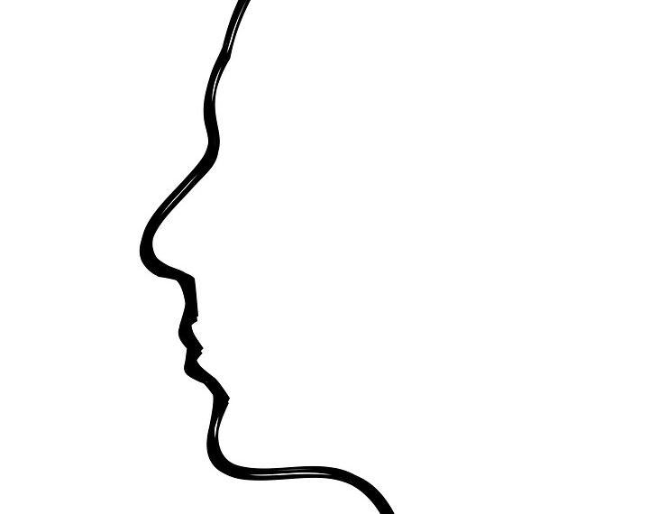 how the human brain processes information