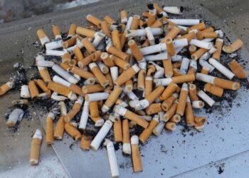 effects of smoking on human health