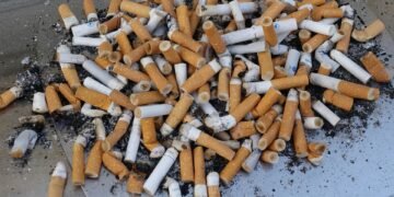effects of smoking on human health