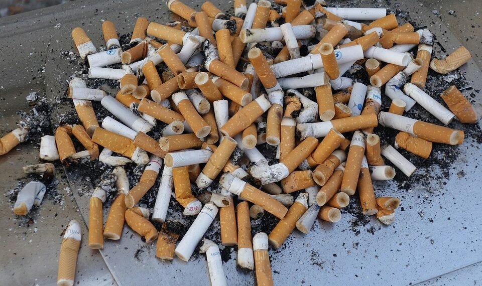 effects of smoking on human health