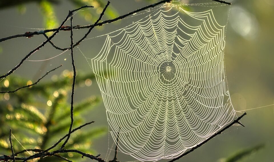 development of animation in cinema