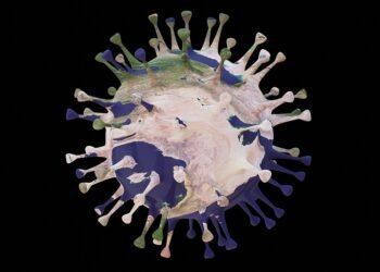 difference between viruses and bacteria