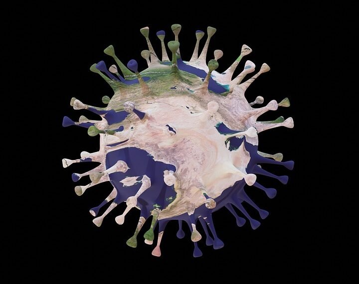 difference between viruses and bacteria